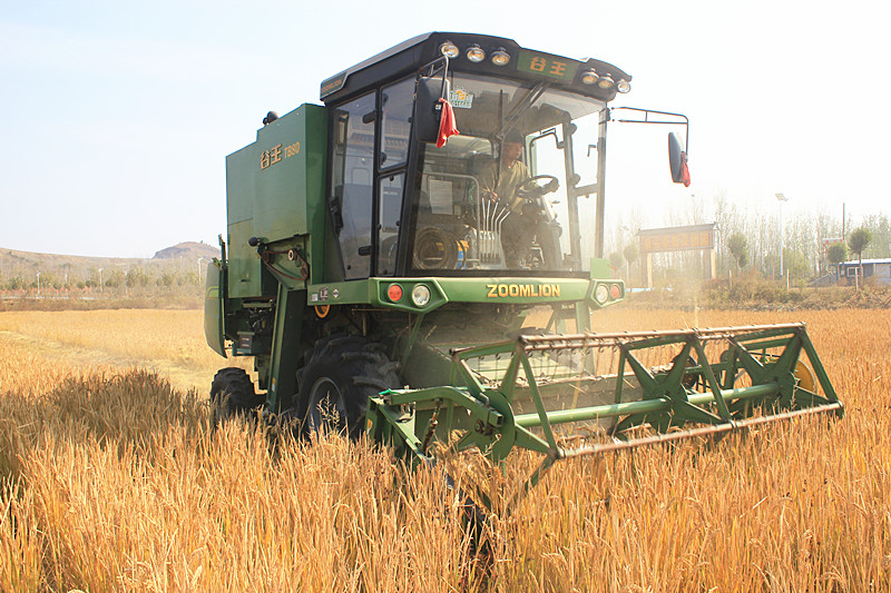 ���f�(zh��n)������ϲ�@�S��